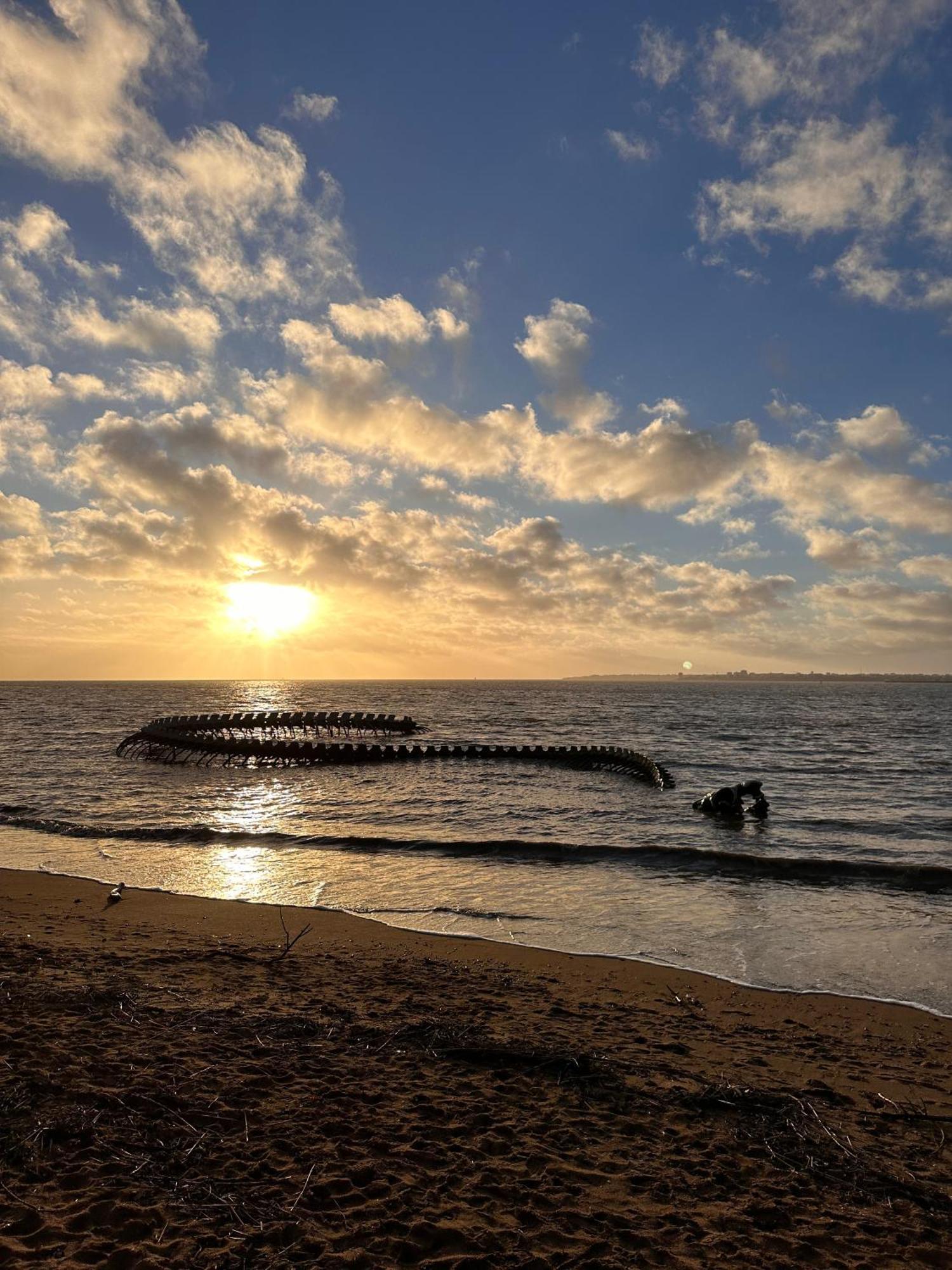 Envies D'Ailleurs Centre Ville Saint-Brévin-les-Pins Exteriér fotografie